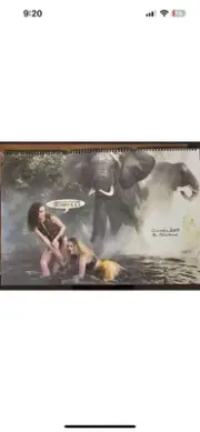 2009 Pirelli Calendar by Peter Beard. Isabela, Lara Stone, Daria, Emmanuela NIB