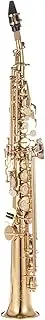 xinyee Brass Straight Soprano Sax Saxophone Bb B Flat Woodwind Instrument Natural Shell Key Carve Pattern with Carrying Case Gloves Cleaning Cloth Straps Cleaning Rod