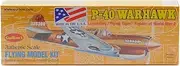 Guillow's Curtiss P-40 Warhawk 1/30 Balsa Model Kit for Ages 10 and Up, Non-Foldable