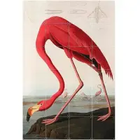 在飛比找Yahoo!奇摩拍賣優惠-【荷蘭 IXXI 】Flamingo Audubon 紅鶴－