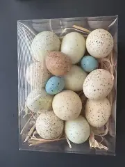 EASTER Decorative Egg Vase Bowl Filler w/ Speckled Eggs & Nests ~ New