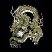 Japanese Makie Mobile Phone Stickers GOLD DRAGON ‎IRO-RYU-GD-06 Craft Kyoto NEW