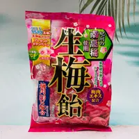 在飛比找蝦皮購物優惠-日本 立夢 生梅飴 梅子糖 使用紀州南高梅 110g