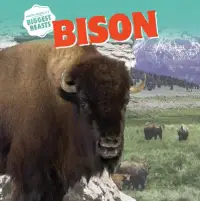 在飛比找博客來優惠-Bison