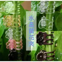 在飛比找蝦皮購物優惠-【☘️藤蔓植物固定夾｜透明蘭花夾】透明 花夾 花盆 支架夾 