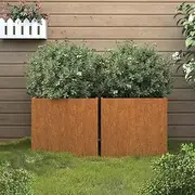 Raised Garden Bed Set of 2, Elevated Planter Box Plant Container 2 pcs 49x47x46 cm Corten Steel
