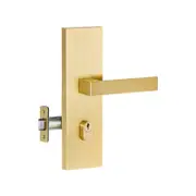 Lemaar Brushed Brass Entry Pro 3
