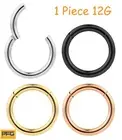 1pc G23 Titanium 12G Hinged Hoop Segment Nose Lip Septum Ring Sleeper Earring