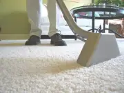 Carpet Cleaning Shampoo Service Business Plan