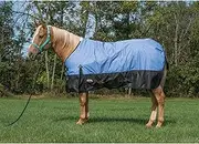 Weaver Leather Economy Turnout Horse Blanket - Waterproof Ripstop- Polyester Fiber Fill, 600D, Blue, 78"