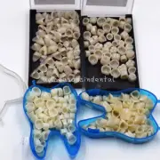 50Pc/Box Dental Temporary Crown Material For Anterior /Posteriors Teeth Caps