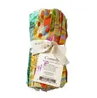 Kaffe Fassett Collective 6" Design Strip Comedy 20ct Jellyroll Rowan Westminster