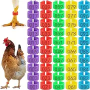 100 Placas para marcar gallos gallinas pollos pinches anillos accesorios 16mm