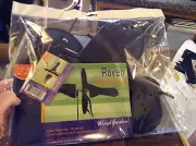 Raven wind garden ornament