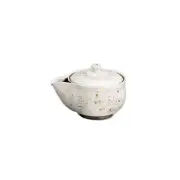 Kiyomizu-yaki Hohin teapot (160cc/ml) - Japanese ceramic teapot for Japanese tea