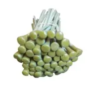 25 Wooden Dop Sticks with epoxy wax for gemstones cutting and faceting