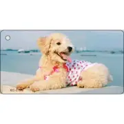 Poodle Novelty Metal Key Chain KC-2176