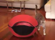Pet Bed Pod Cat Dog Cave Red
