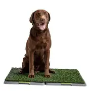 Silver Paw 3-Layer Washable Pee Pads for Dogs - Dog Grass Pad with Tray |