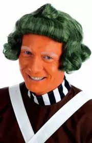 Adult Green Curly Wavy Wig for Men`s Chocolate Factory Worker Costume Halloween