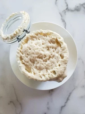 200+ Year Old Sourdough Starter, Appalachian, Live Sourdough Starter, Recipes