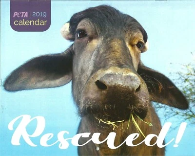 2019 PETA Rescued Animals Wall Calendar