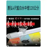 🎊🎊🇹🇼 台灣惠弘 4尺LED水中燈 藍白燈 魟魚燈  藍白水中燈 4尺水中燈 白藍燈 上部藍白燈