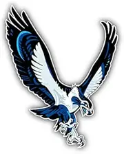 Seahawk Bird Logo Car Bumper Sticker Decal