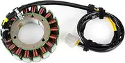 Stator Coil Compatible With Triumph 800 865 900 865 EFI Thruxton Compatible With Speedmaster America Scrambler Bonneville T100 T1305502 T1300076