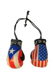 USA & PUERTO RICO Country Flags Mini BOXING GLOVES .. New