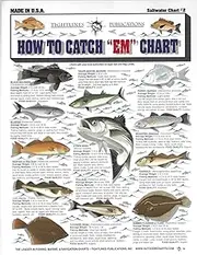 How to Catch 'Em Saltwater Fish Identification #2 - Waterproof Quick Reference Guide | Portable & Built to Last | Double-Sided & Easy to Read | (North Atlantic, Maine to The Carolinas)