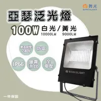 在飛比找松果購物優惠-【永光】舞光LED亞瑟100W泛光燈 白光/黃光 全電壓戶外