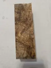 Stabilized Spalted Maple #91