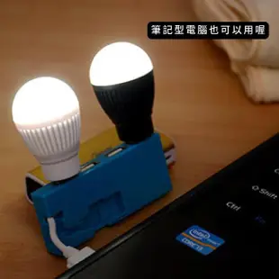 【居家照明】USB燈泡造型LED燈2入(白光 桌燈 夜燈 床頭燈 造型燈 燈飾 露營 讀書 照明)