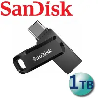 在飛比找Yahoo!奇摩拍賣優惠-公司貨 SanDisk 1TB Ultra Go USB T
