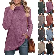 Women's Sweater Casual Soft Pure Color Ribbed Turtleneck Knitted Long Sleeve Regular Tops Knit Outdoor Daily Weekend Black Blue Fall Winter