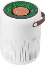 Portable Desktop Air Purifier, 99.99% Air Purification, 3-in-1 H13 Filter, 4 Filtration Modes Type C Plug