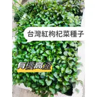 在飛比找蝦皮購物優惠-高營養蔬菜【臺灣紅枸杞菜】新品蔬菜種子 有機健康紅枸杞菜 旱