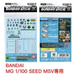 【鋼普拉】現貨 BANDAI 模型水貼紙 #48 MG 1/100 機動戰士鋼彈SEED MSV 專用鋼彈水貼