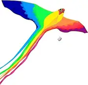 Colorful Phoenix Kite for Kids and Adults, Easy to Fly, Exquisite Fabrics and Unique Structure Design, Excellent Outdoor Games and Activity Toys, Suitable for Beginners