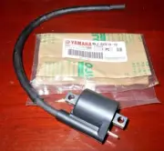 YAMAHA RT100,YZ80,RAPTOR 125,250,350,SNOSCOOT,YZ125 SPARK PLUG IGNITION COIL