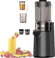 250w cold Press Slow Juicer, Juicer Machines, Cold Press Masticating Juicer, With Triple Filter, Portable Pomace Separation Juicer, for Fruits Vegetables,Grey