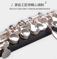 在飛比找Yahoo!奇摩拍賣優惠-二胡未諾合成烏木短笛C調西洋樂器VPC-E200S初學管樂隊