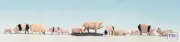 N15712 Noch HO/OO Scale Pigs (12)