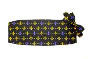 Mardi Gras Fleur de lis Cummerbund and Bow Tie Set