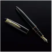 Platinum Izumo Tamenuri Biwatame PIZ-55000 #30 Ebonite 18K F/M/B Fountain pen