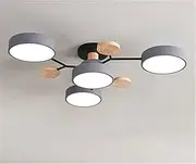 Chandelier, Modern Living Room LED Ceiling Lamp Bedroom Dining Room Lighting Bathroom Hotel Chandelier Factory Direct Sales (Color : Gray, Size : 4light)