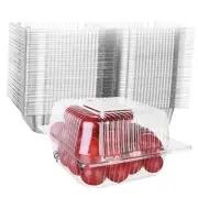 250 Pcs 5x5 Inch Clamshell Take Out Tray Take Out Containers Plastic Hinged