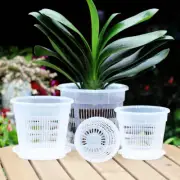 Transparent Root Control Pot Orchid Moss Phalaenopsis Flower Pot Plastic Breatha