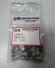 Dresser-Rand OEM Compressor Valve Spring Kit #12334223
